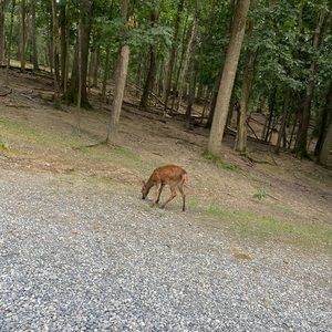 Meet your Posher, Dustin